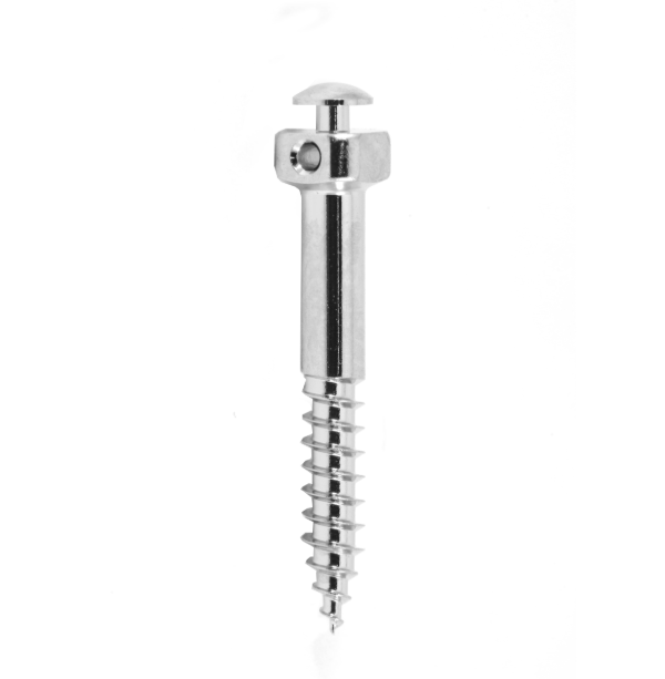 MICRO TORNILLO IZC 2X14 MM (PERFIL TRANSMUCOSO) 1 PIEZA